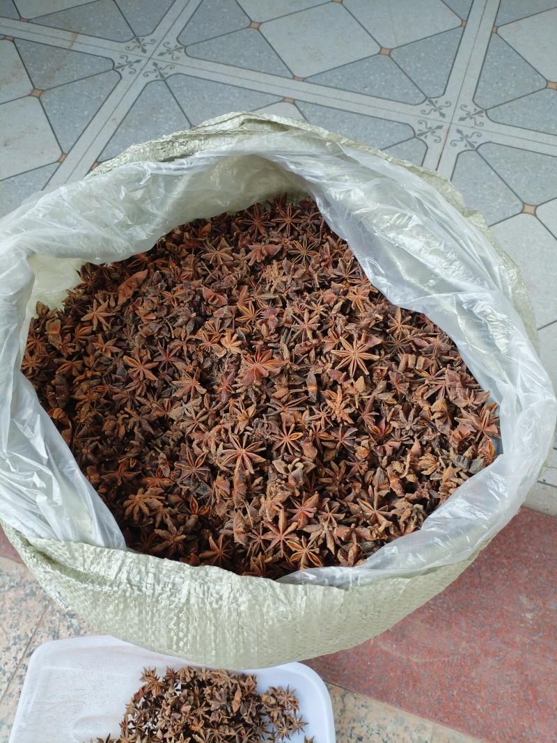 广西干八角香料春花果三月果货源充足产地值供