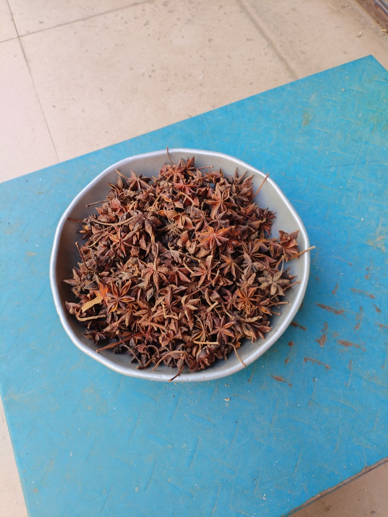 广西干八角香料春花果三月果货源充足产地值供