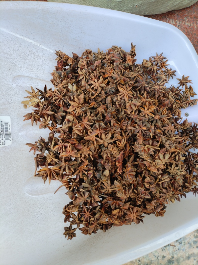 广西干八角香料春花果三月果货源充足产地值供