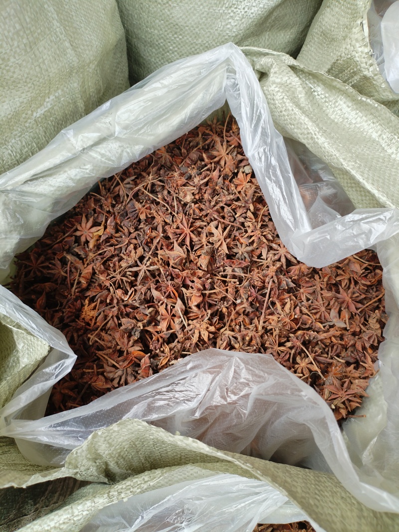 广西干八角香料春花果三月果货源充足产地值供