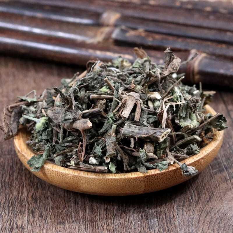 中药材旱莲草