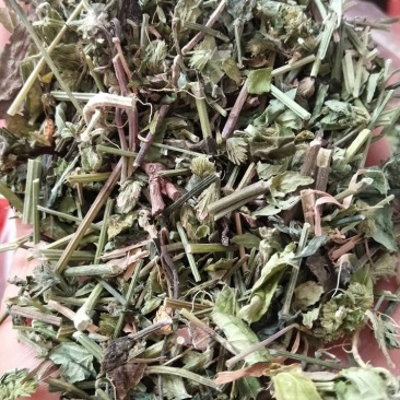 中药材爵床草小青草六角英