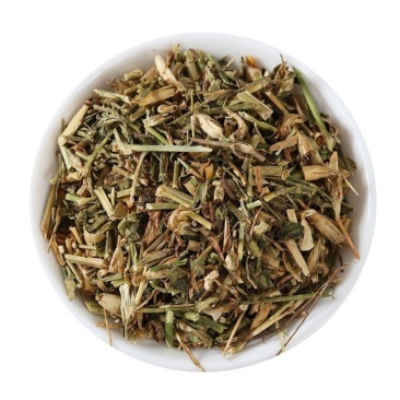 中药材瞿麦巨麦翟麦