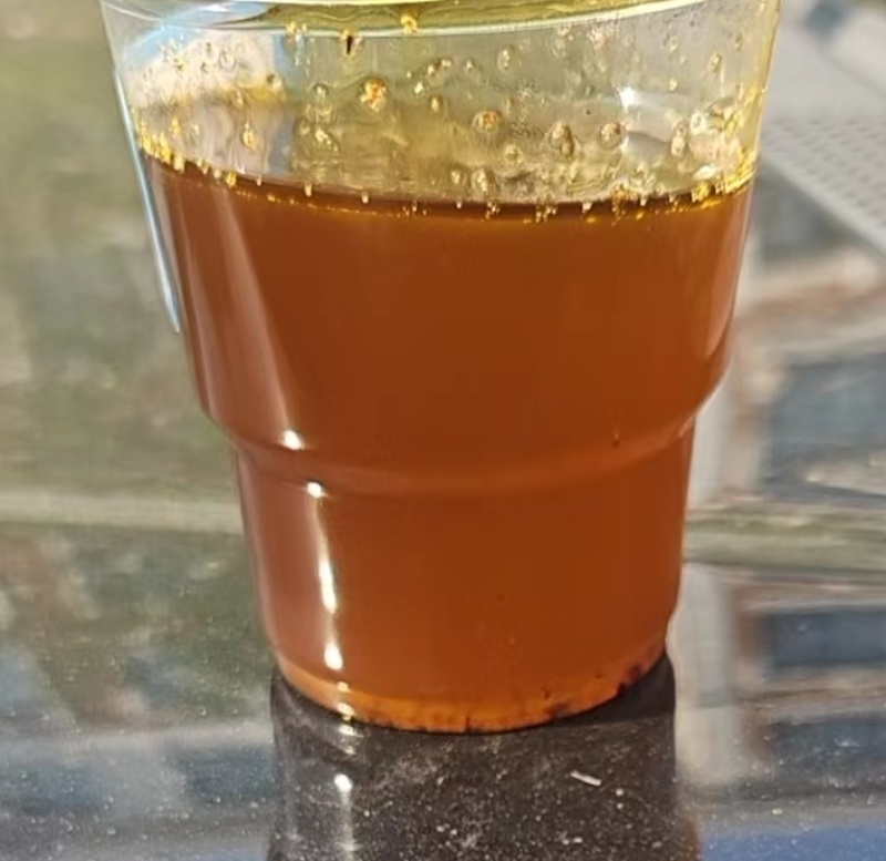 油菜籽