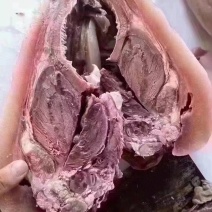 牛头肉精品全熟，源头供货，品质保证，欢迎老板咨询购买。