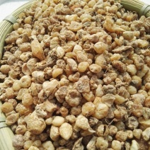 中药材山慈菇毛慈菇冰球子