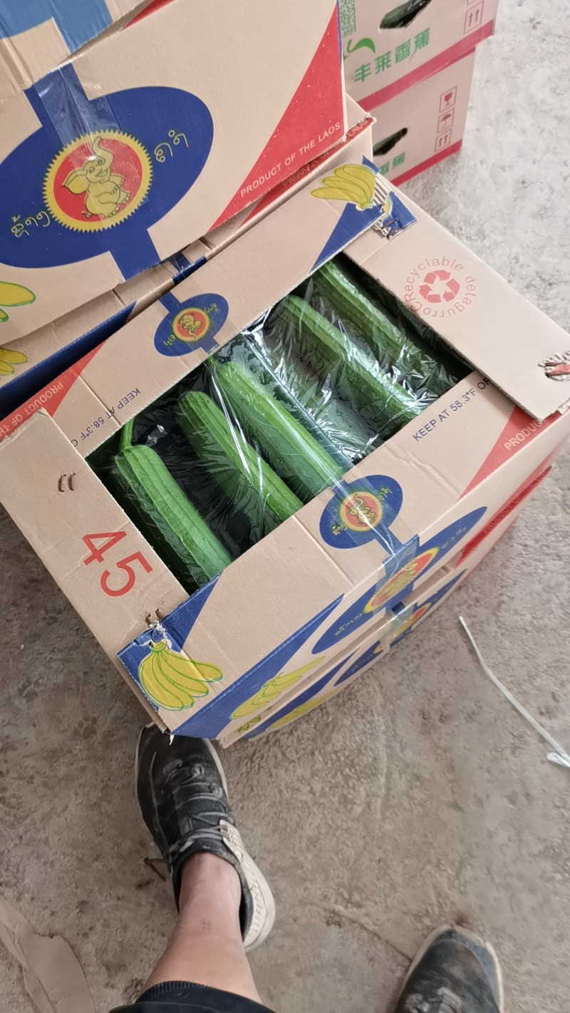 精品丝瓜