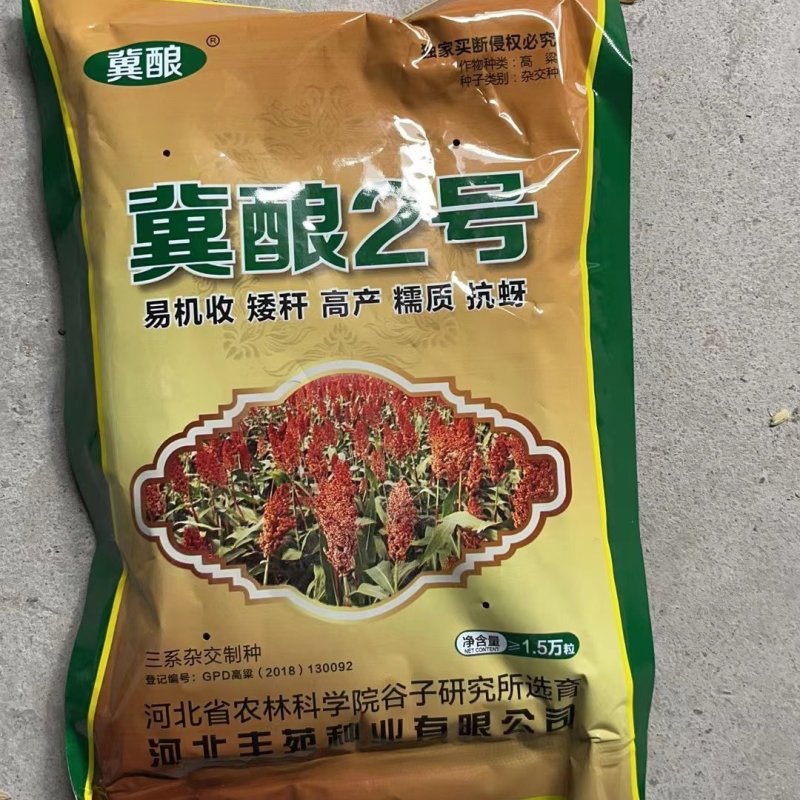 冀酿2号高粱种子