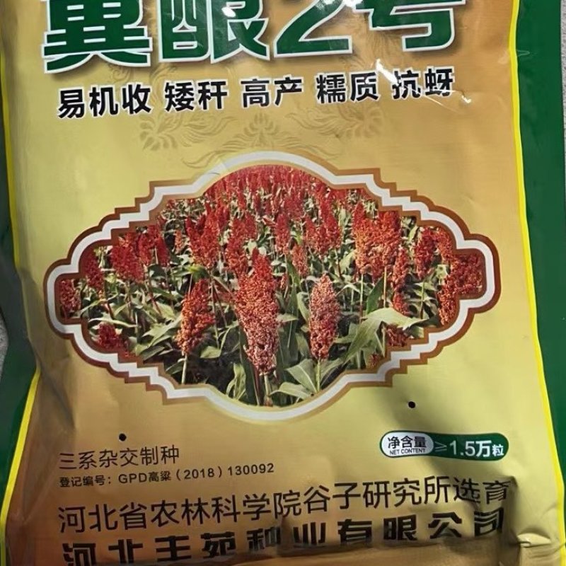 冀酿2号高粱种子