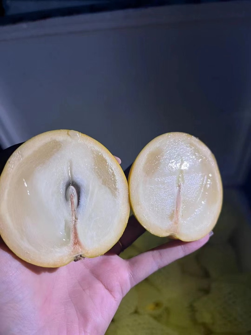 黄晶果新鲜水果黄金果蛋黄果孕妇水果