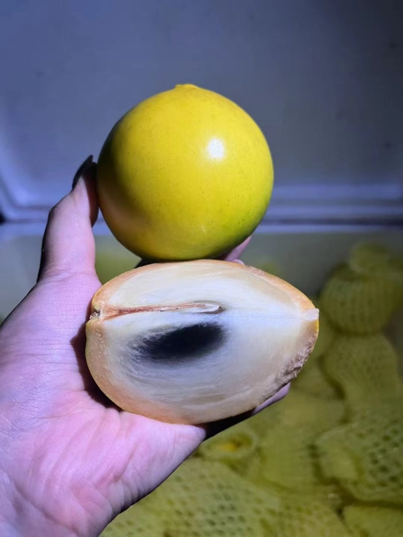 黄晶果新鲜水果黄金果蛋黄果孕妇水果