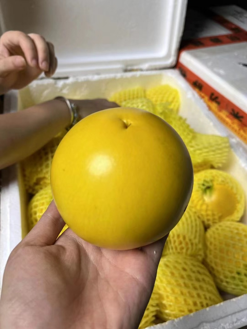 黄晶果新鲜水果黄金果蛋黄果孕妇水果