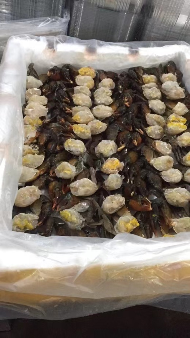 冻青蟹排各种规格都有量大从优欢迎各位老板采购