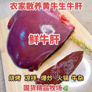 鲜牛肝,新鲜软嫩,一手货源无拼接,营养价值高,欢迎下单。