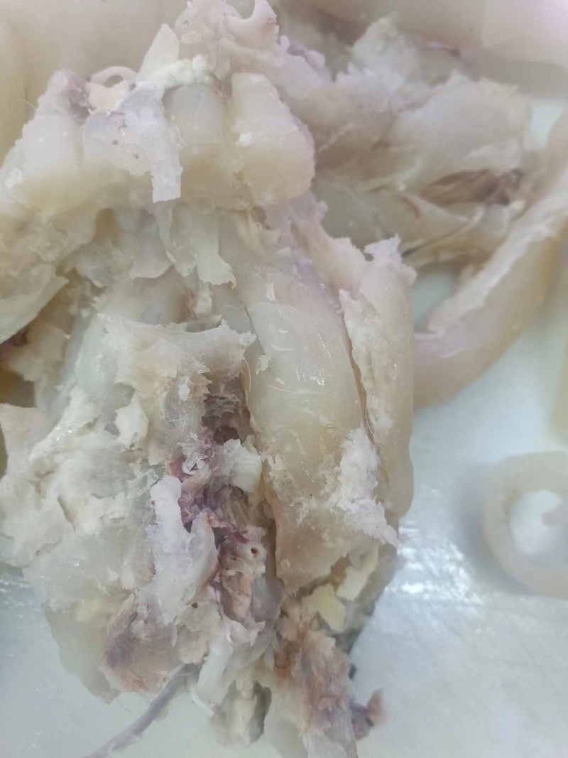 【熟食牛蹄】牛蹄筋，牛筋等牛杂，精品分拣包装，欢迎采购。