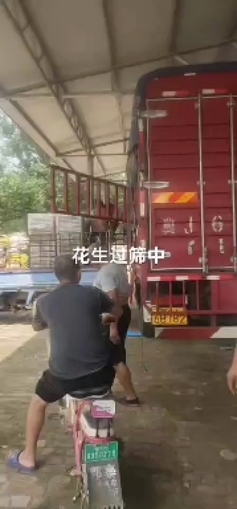 鲜花生