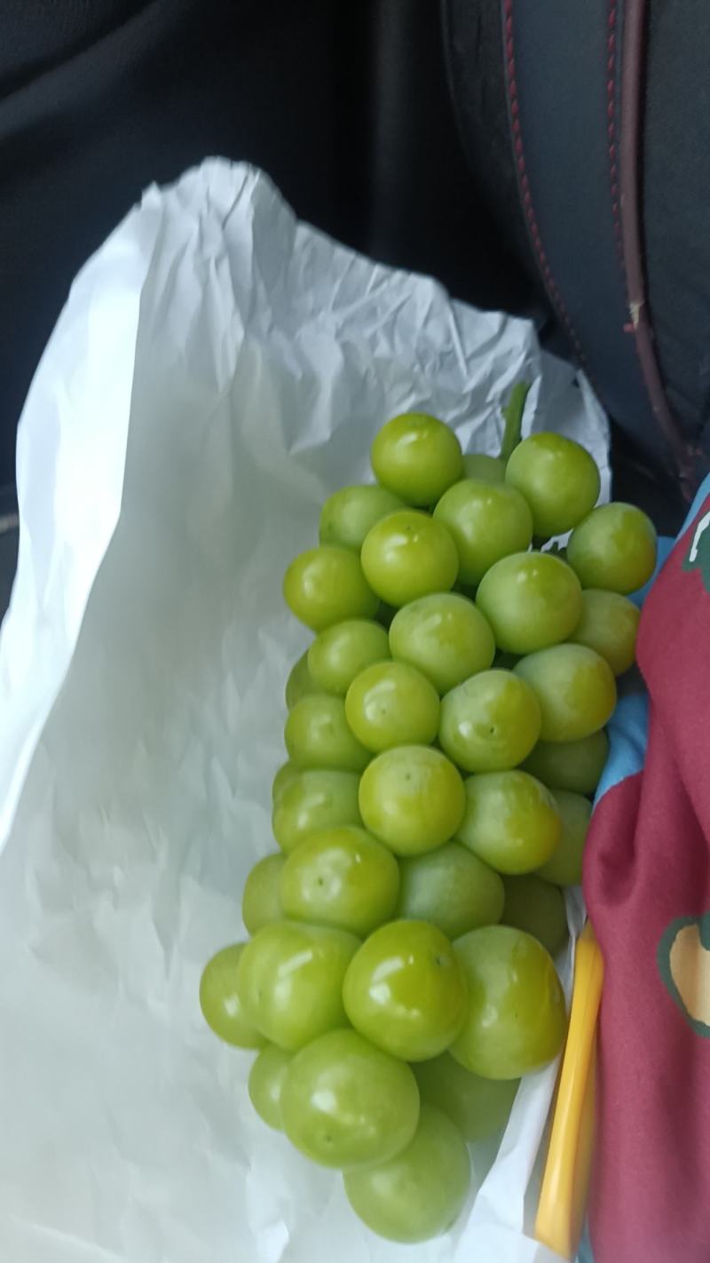高甜，小串，小颗粒，美团，社团，抖店可用，商超
