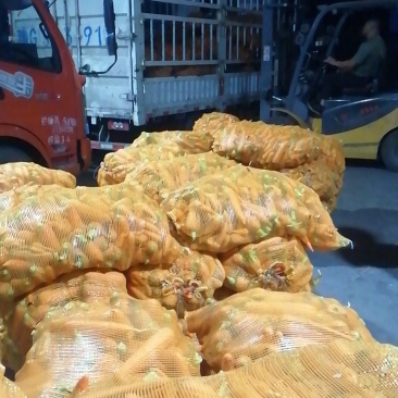 养殖胡萝卜，养殖用次品胡萝卜及各种农产品大量供应