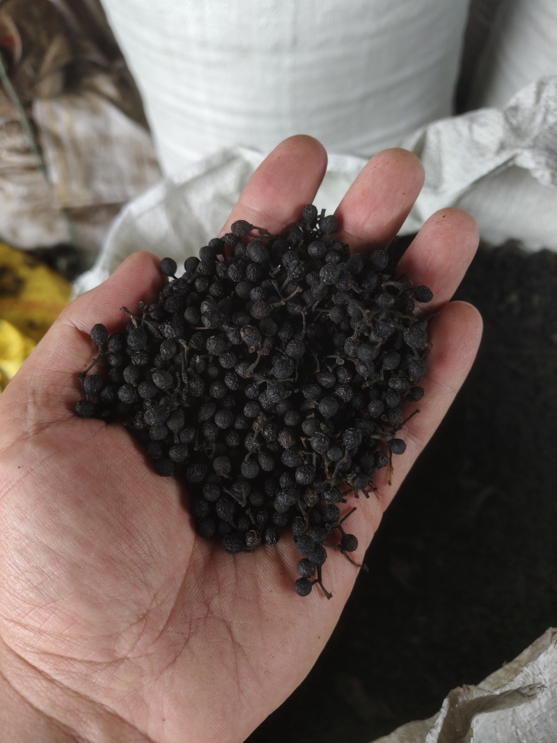 山苍子干货没有提炼过油的