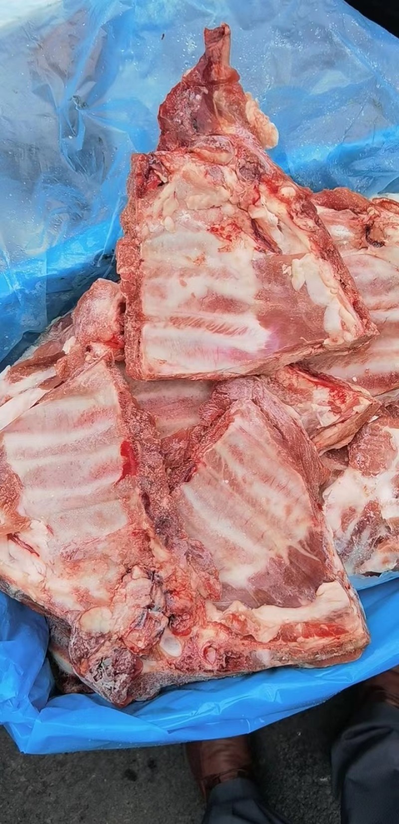 多肉猪小排，肥猪肋排，颜色鲜亮，根根肋排分明