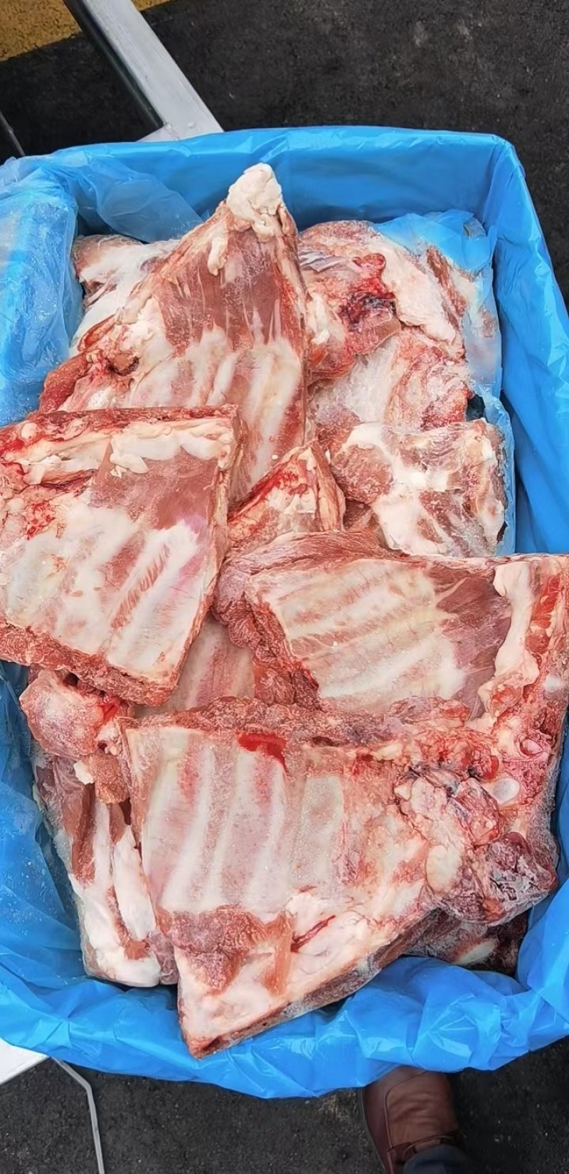 多肉猪小排，肥猪肋排，颜色鲜亮，根根肋排分明