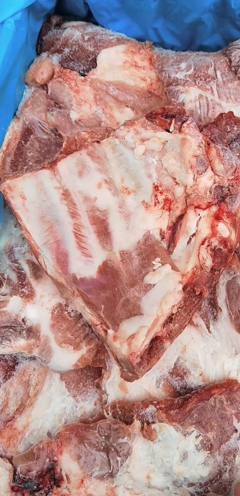 多肉猪小排，肥猪肋排，颜色鲜亮，根根肋排分明