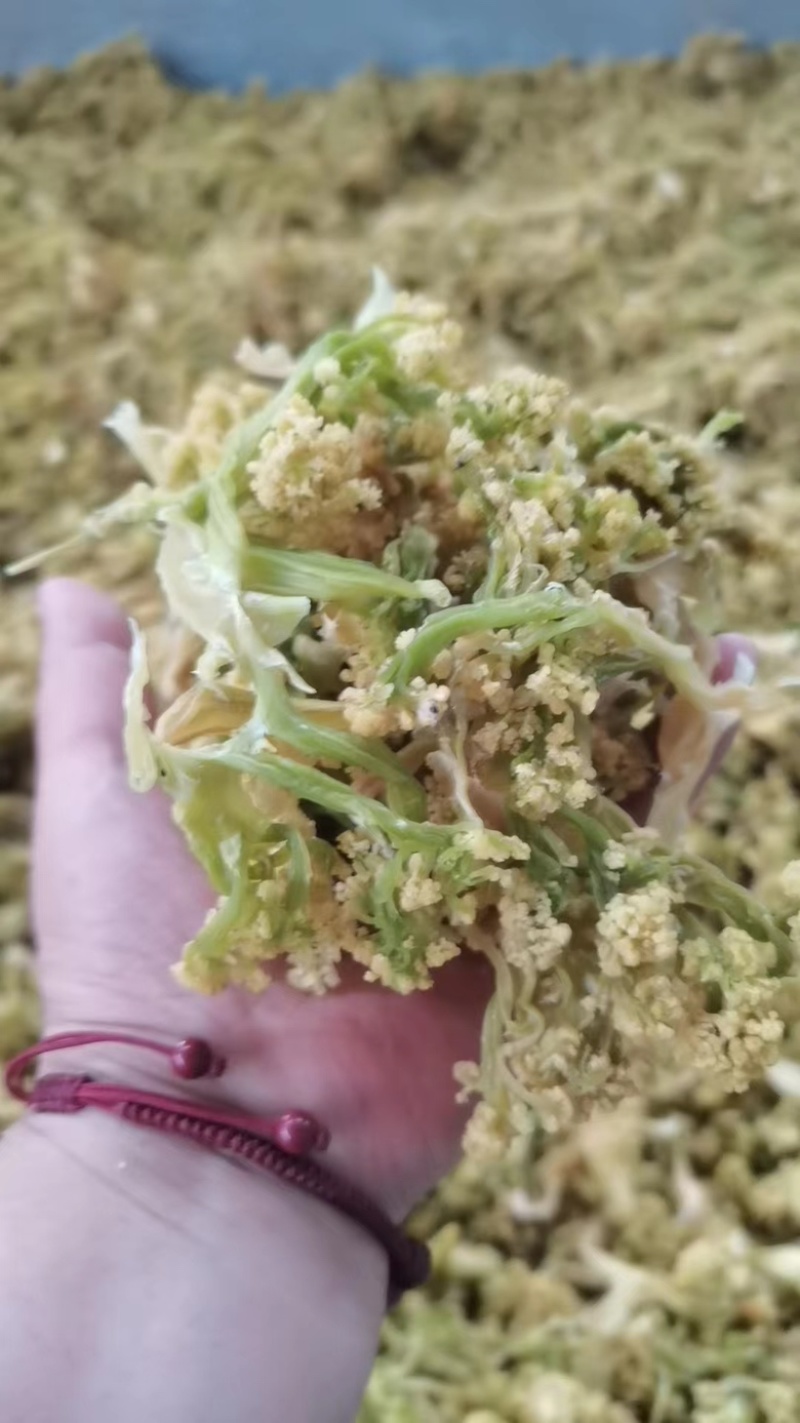 脱水有机花菜，干花菜厂家一手货源价格公道品质保障放心订购