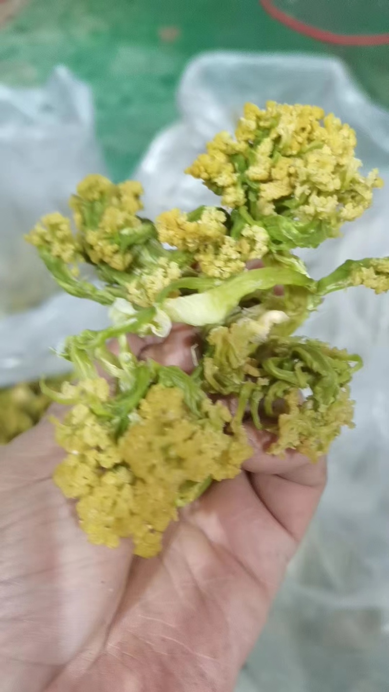 脱水有机花菜，干花菜厂家一手货源价格公道品质保障放心订购