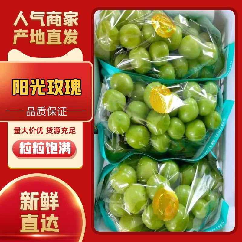 阳光玫瑰产地直供量大价优老板热情欢迎致电咨询