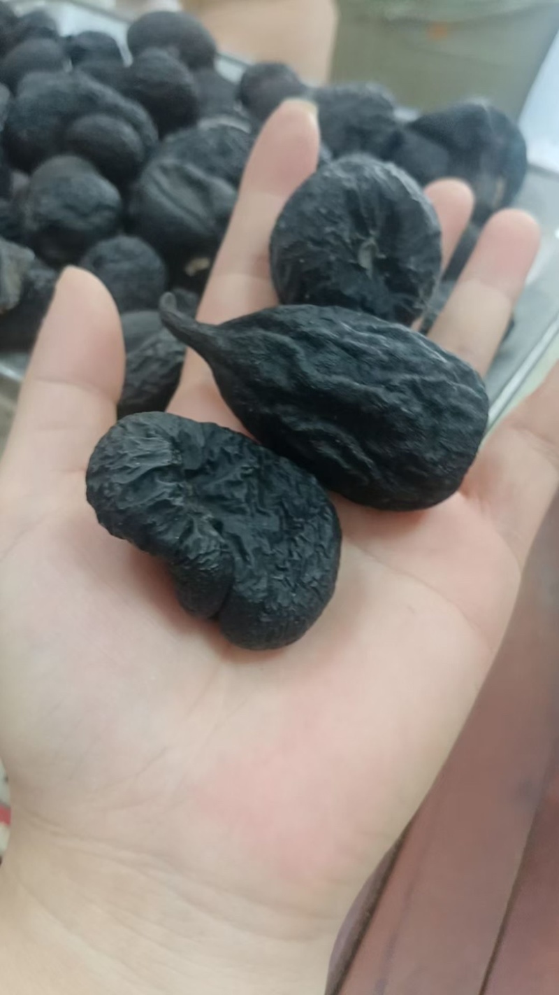 乌灵参乌灵参大个子乌灵参小个子乌灵参