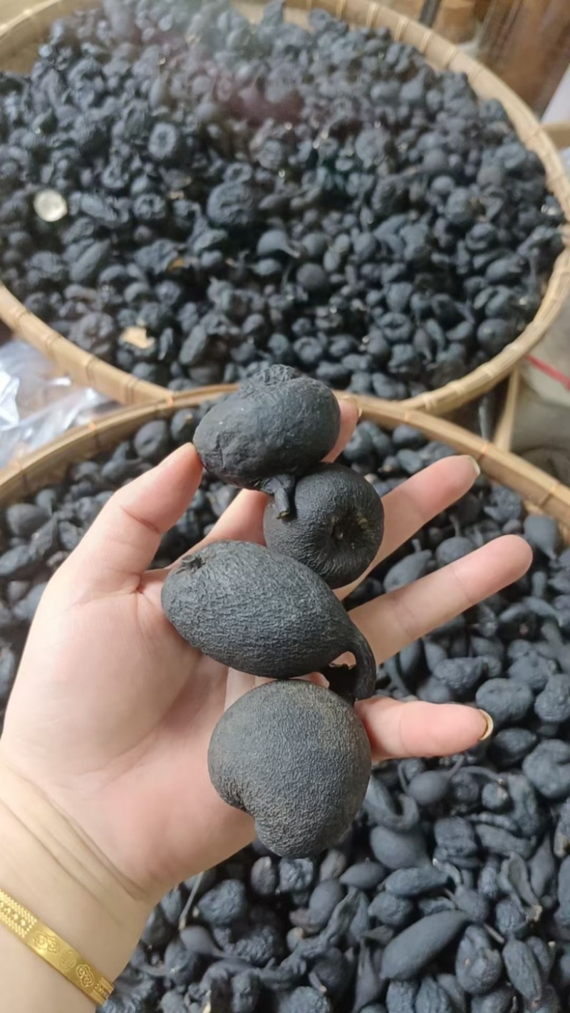 乌灵参乌灵参大个子乌灵参小个子乌灵参
