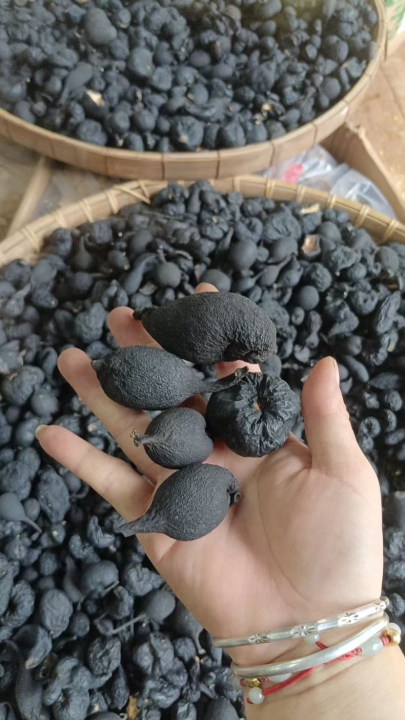 乌灵参乌灵参大个子乌灵参小个子乌灵参