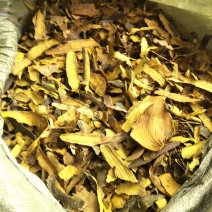 黄柏沫，黄柏刮下来的下角料，兽药专用，量大从优