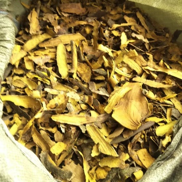 黄柏沫，黄柏刮下来的下角料，兽药专用，量大从优