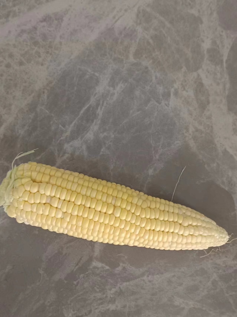 大量甜糯玉米．水果玉米上市中