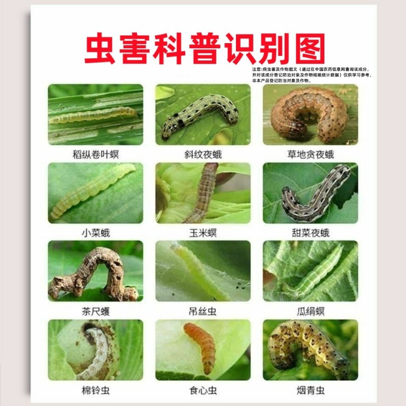 巧喜20%氯虫苯甲酰胺茚虫威蔬菜甘蓝小菜蛾肉虫大虫小虫药