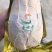 预冷鹅肝
