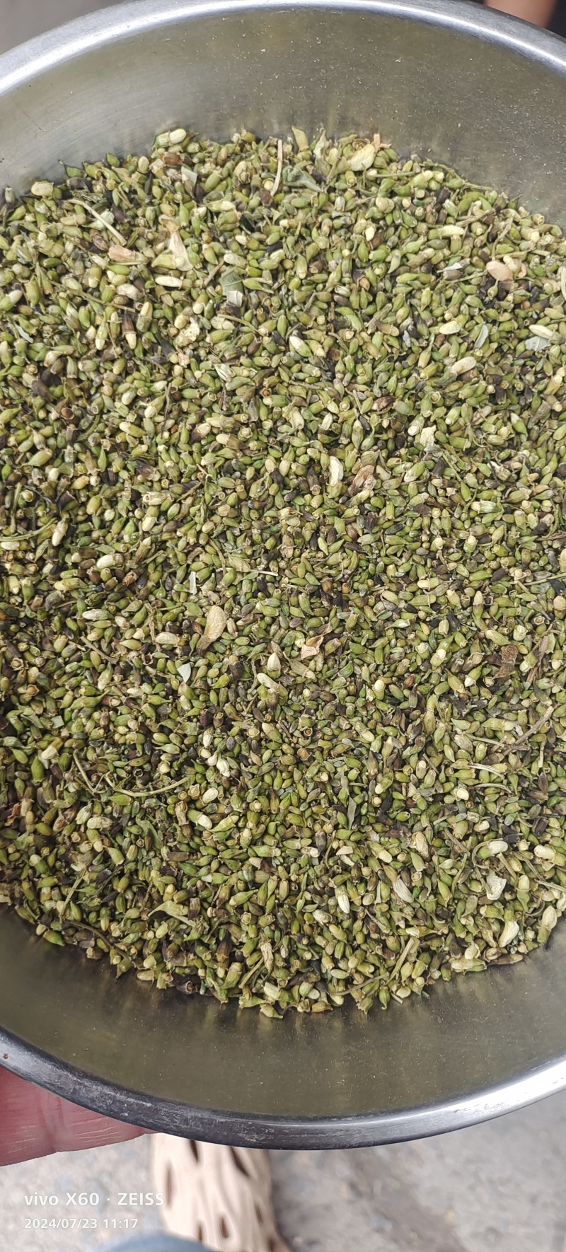【热卖】河北槐米/精选槐米/新季槐米/单季高含量便宜