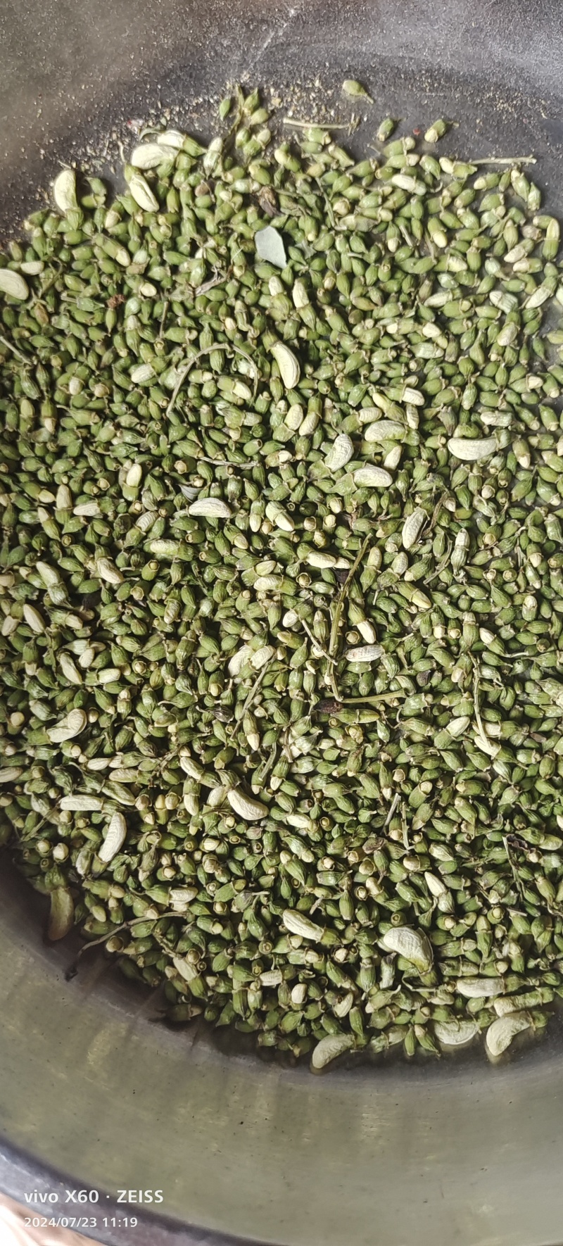 【热卖】河北槐米/精选槐米/新季槐米/单季高含量便宜