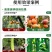 奥丰奥果美钾退酸增甜着色大量元素水溶肥包邮