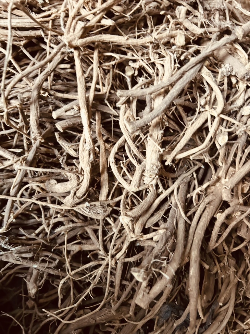 黄芪毛二条精品黄芪甘肃黄芪规格齐全量大从优，全年发货