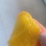 河北秦皇岛精品潘九
