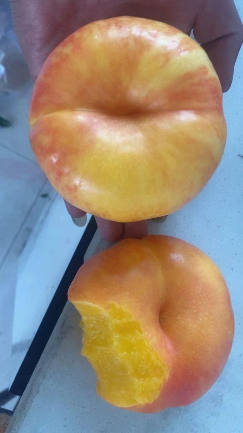 河北秦皇岛精品潘九