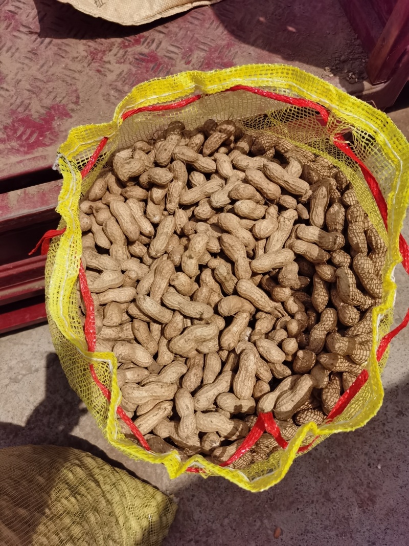 白沙花生精品开封大白沙鲜花生产地直发保质保量发货全国