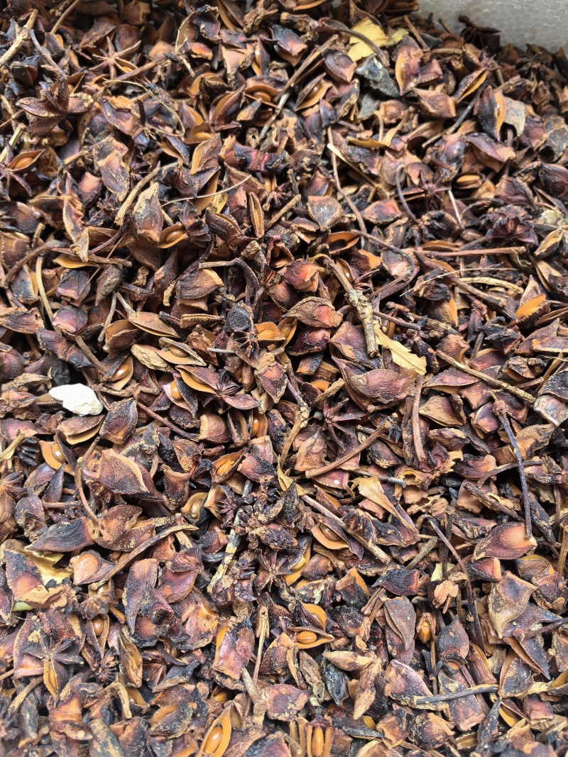 广西无硫大红八角卤料大料香料足干产地值供