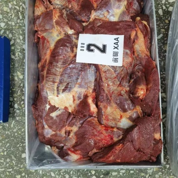 马前腿大三角