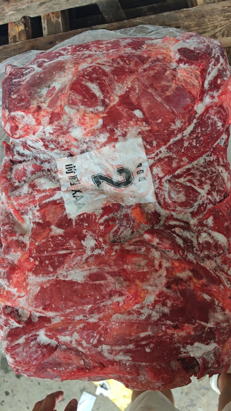 马前腿大三角