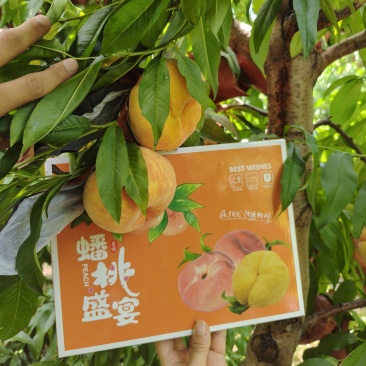 黄桃，蟠桃