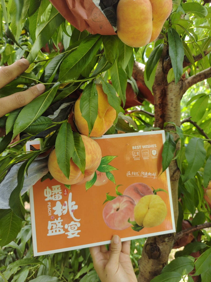 黄桃，蟠桃