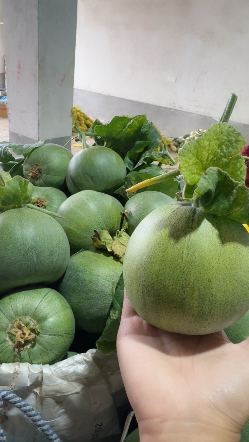 头茬精品绿宝石【热卖中，对接电商，市场，超市，社团，代发全国